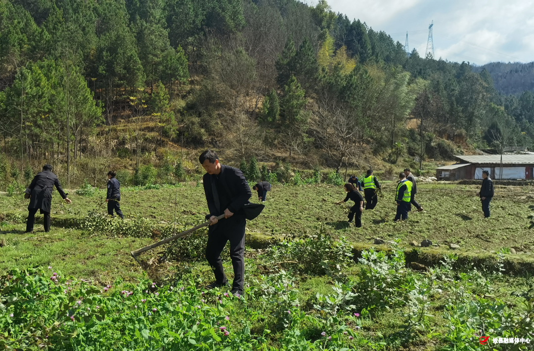 宁家坪镇遏制耕地“非粮化”