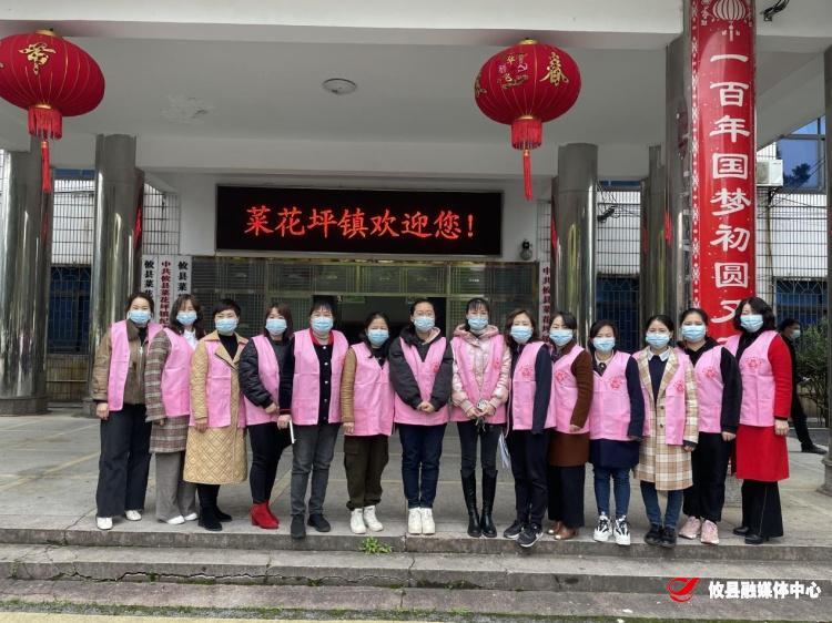 【党旗下的新时代文明实践】菜花坪镇：凝聚巾帼力量 助力“敲门行动”