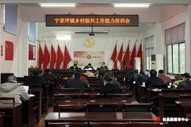 宁家坪镇举办乡村振兴工作能力培训会