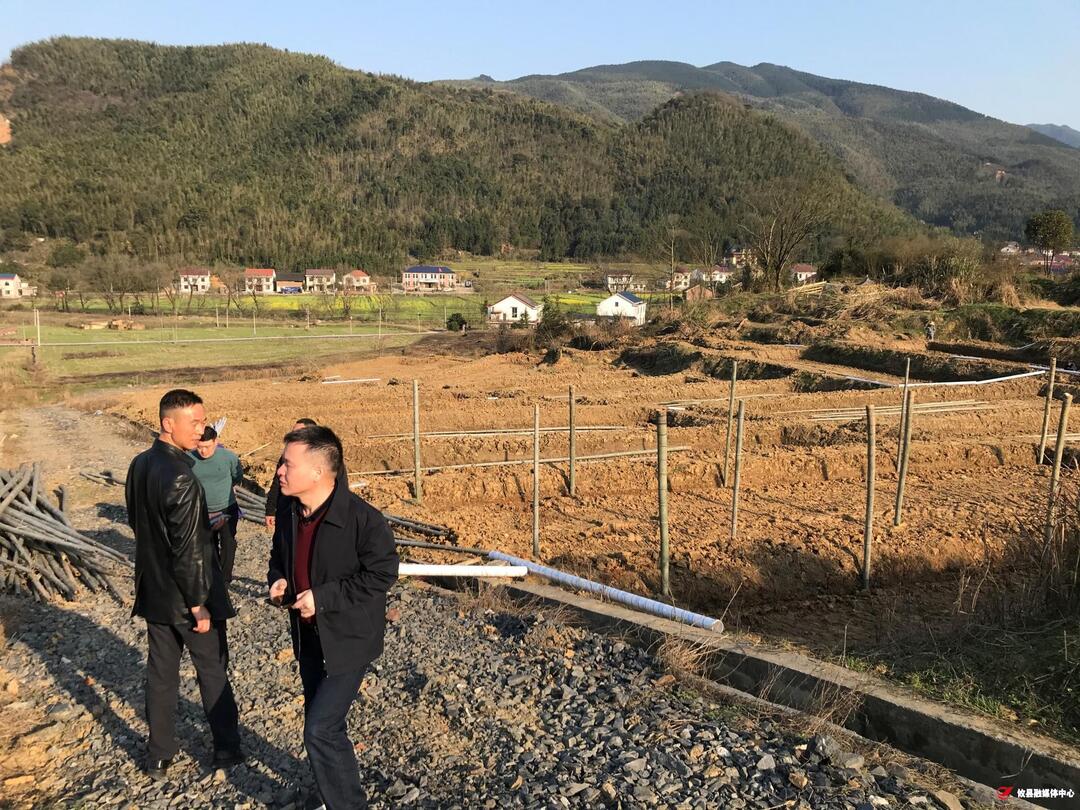 鸾山镇开展常态化巡查工作
