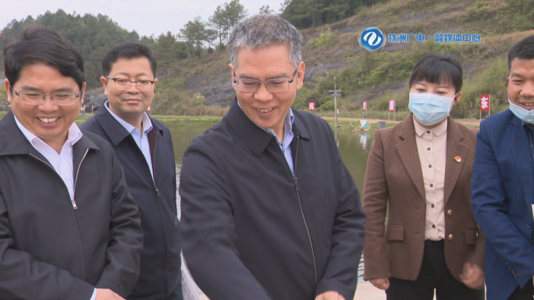 曹慧泉在茶陵攸县调研