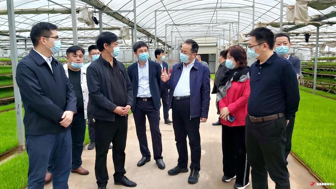 聂方红就“稳定粮食播种面积”及加强和改进新时代政协工作来攸调研