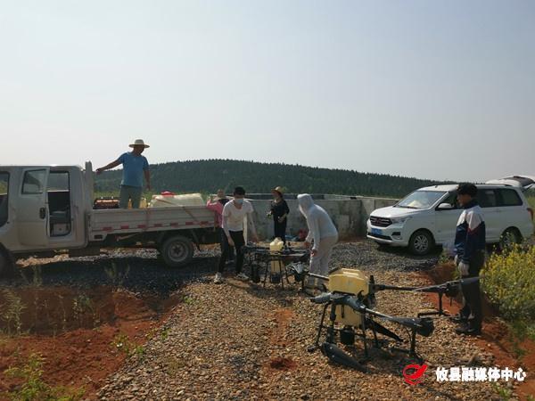 攸县采用无人机技术除治松毛虫