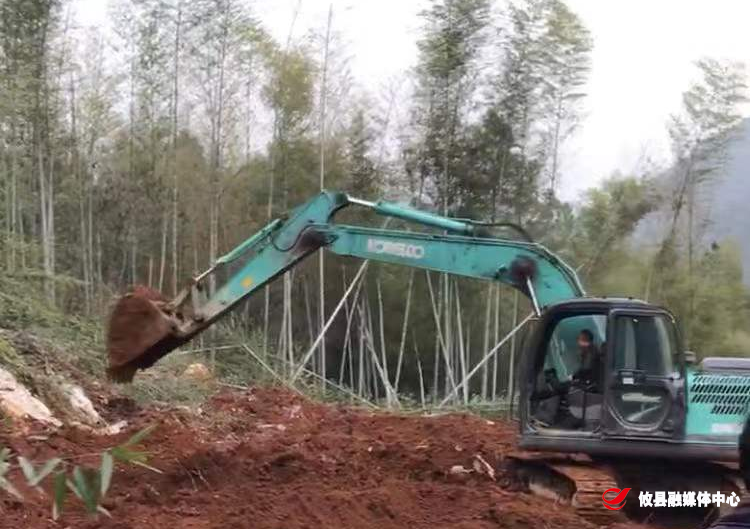 鸾山镇：严厉打击违法用地 鸾山在行动