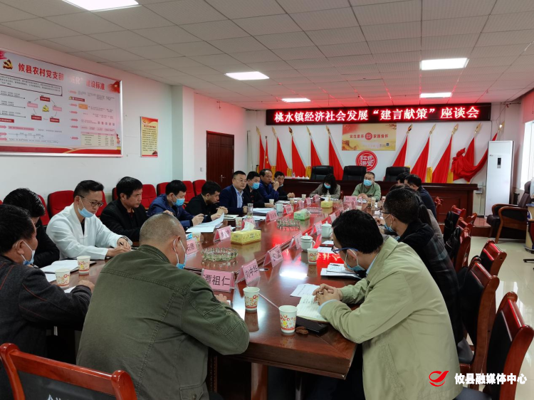 桃水镇：巡察助推桃水经济社会发展