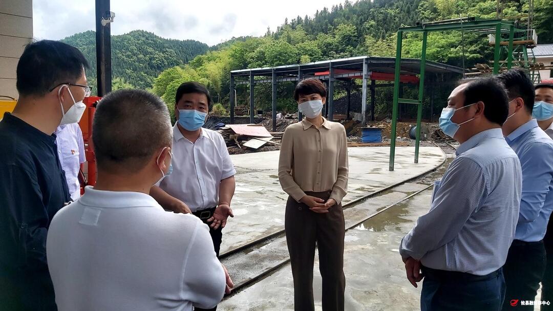 市委常委、统战部部长罗琼来攸县督查安全生产工作