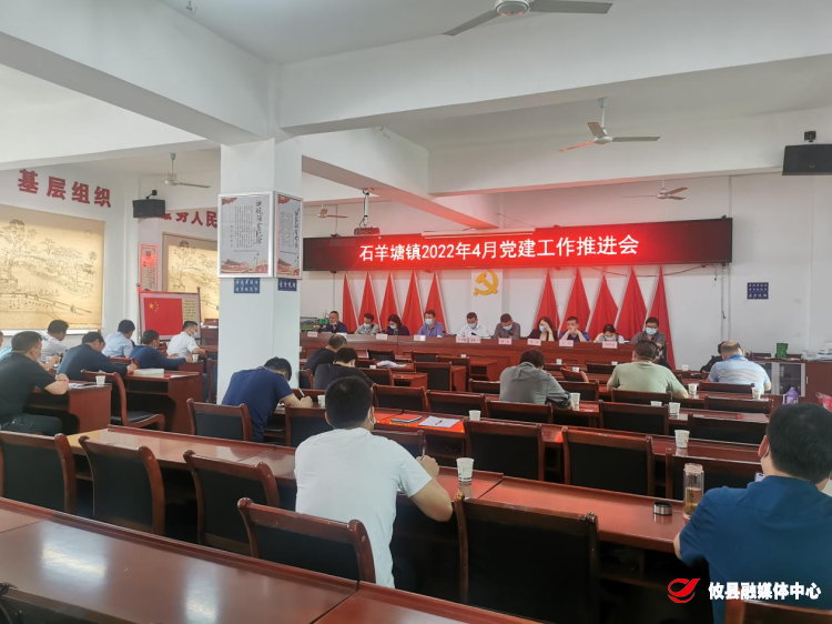 攸县石羊塘镇：组建党员战时应急突击小分队