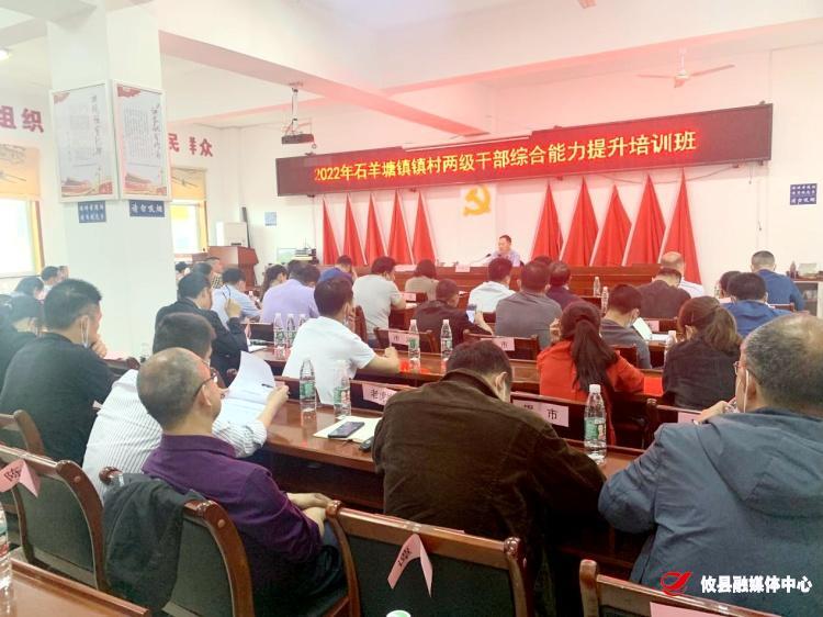 干部能力提升年：石羊塘镇举办镇村两级干部综合能力提升培训班
