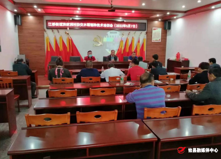 江桥街道洪家洲村杂交水稻制种技术培训开班了！