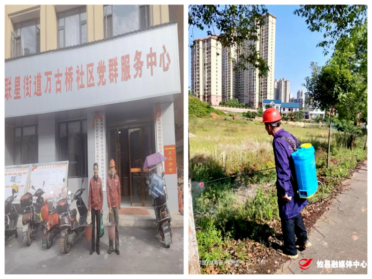 【党旗下的新时代文明实践】联星街道万古桥社区：除“四害”改善人居环境