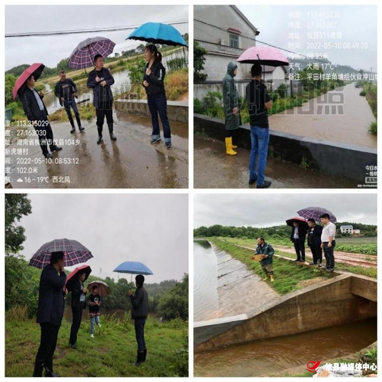新市镇：防汛巡查 新市在行动