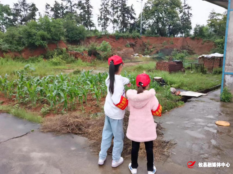 菜花坪镇：小学生现场打分，农村人居环境整治出新招！