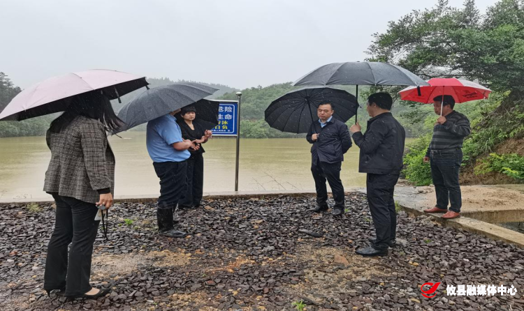 桃水镇：县领导到桃水镇督导防汛备汛、房屋安全隐患排查整治工作