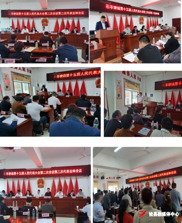 石羊塘镇第十五届人民代表大会第二次会议胜利召开