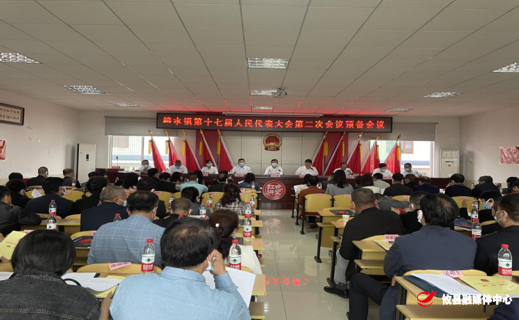 踔厉奋发 笃行不怠——桃水镇第十七届人民代表大会第二次会议胜利召开