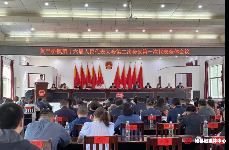 黄丰桥镇第十六届人民代表大会第二次会议胜利召开