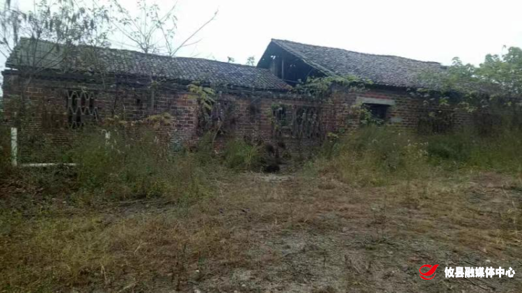 【新市镇】拆除历史违建 助力美丽乡村