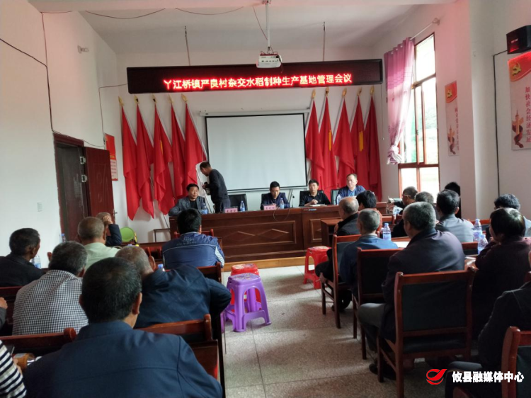 丫江桥镇召开杂交水稻制种会议 助力水稻制种生产基地建设