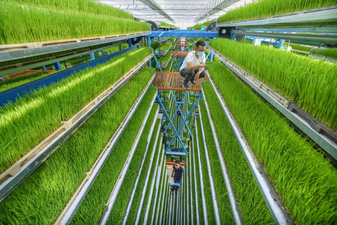 芙蓉国评论丨“新基建”布局加速 高质量发展可期