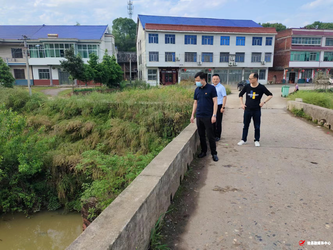 桃水镇：全面落实河长制工作总河长在行动
