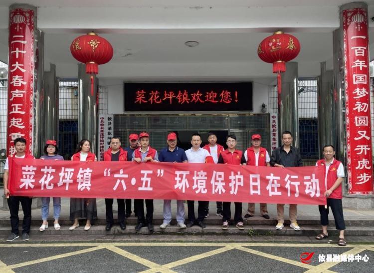 【党旗下的新时代文明实践】美丽世界 你我共建——菜花坪镇开展“六·五”环境日宣传活动