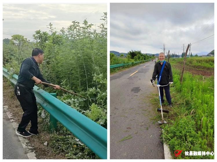 酒埠江镇：木联村践行志愿服务 点亮美丽乡村