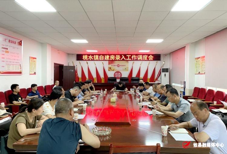 桃水镇召开居民自建房排查录入工作调度会