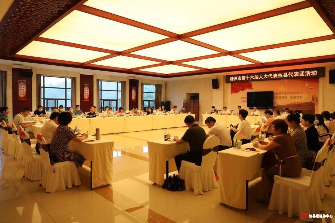 市第十六届人大代表攸县代表团开展分组调研活动