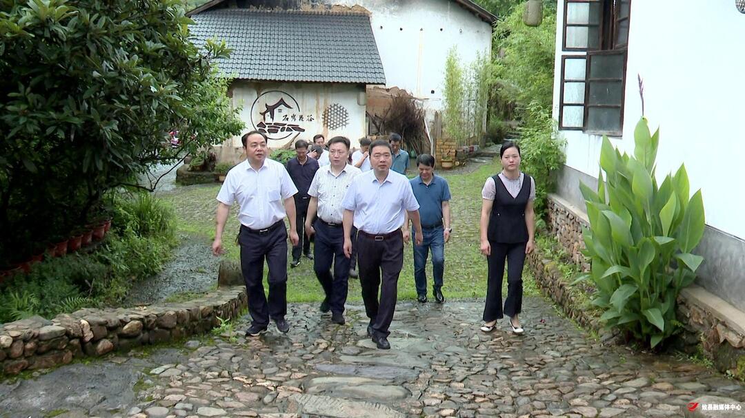 李鹏程到黄丰桥、鸾山调研乡村旅游工作  强调：生态优先、绿色发展　着力做好乡村旅游这篇“大文章”
