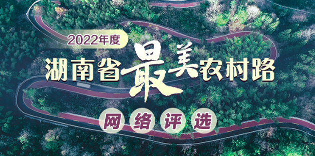 攸县丫仙路入选！投票点起来！2022年度湖南省最美农村路网络评选开始啦