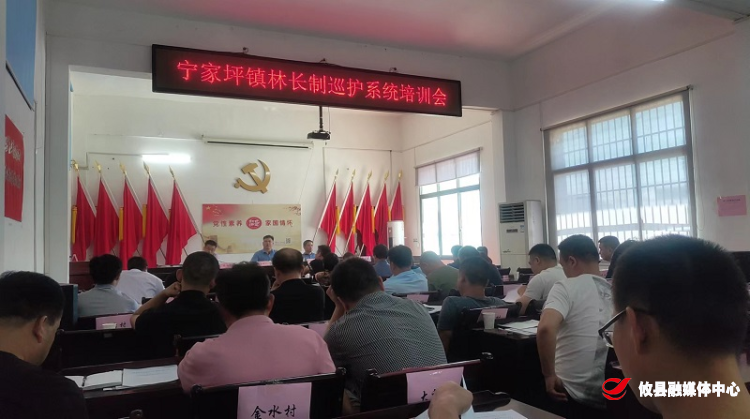 宁家坪镇召开林长制工作巡护系统业务培训会