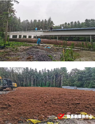鸾山镇：依法拆除乱占用耕地违建养殖场