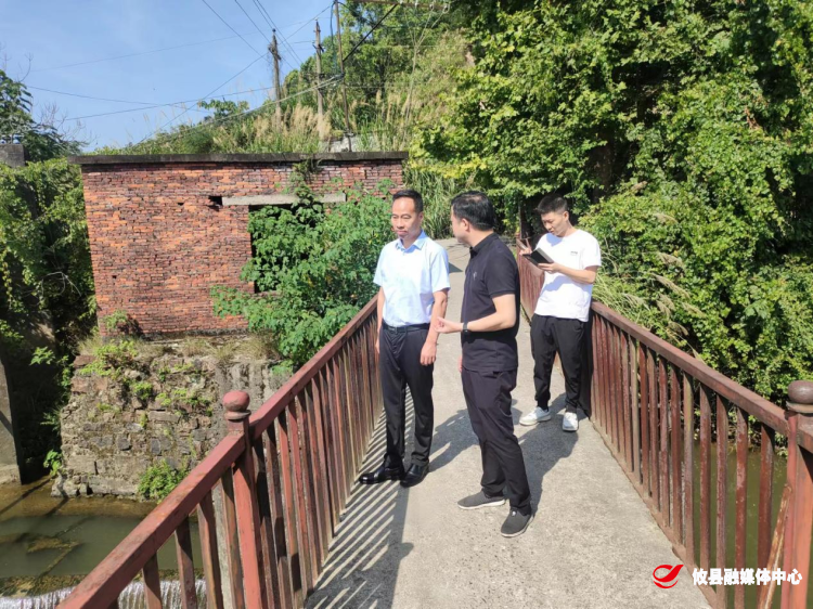 县领导到清江桃水镇部分河段开展巡河工作