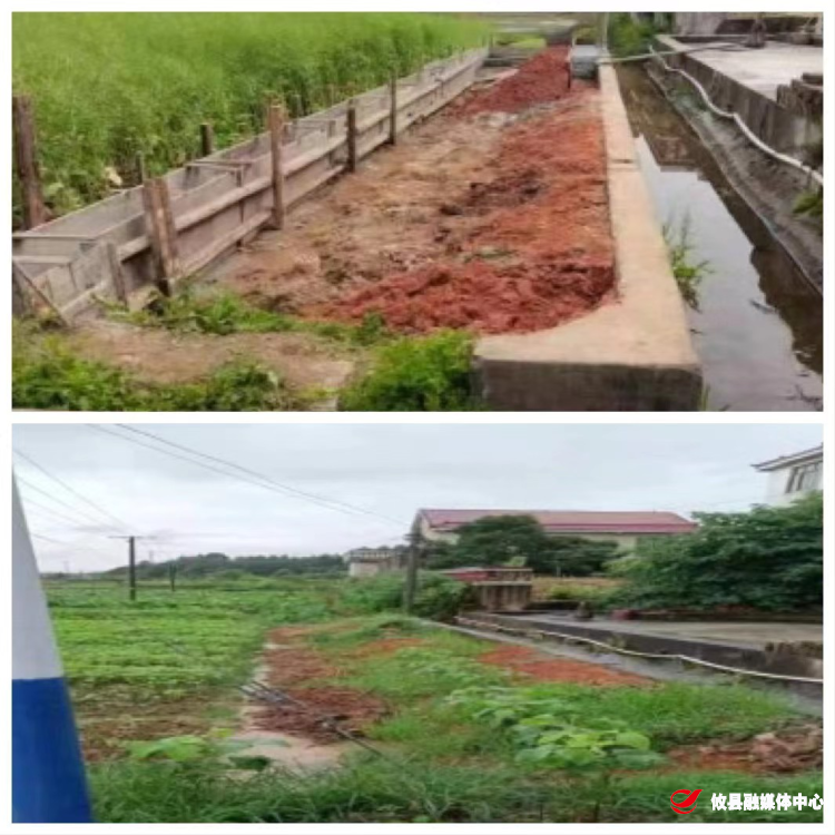 春联街道：拆除违法建筑 保护基本农田