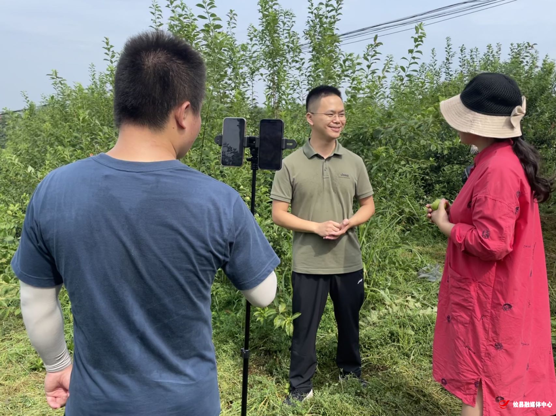 菜花坪镇：直播带货“赋能”乡村振兴