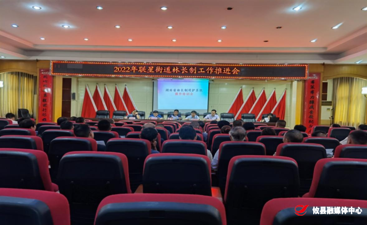 联星街道召开林长制工作推进会