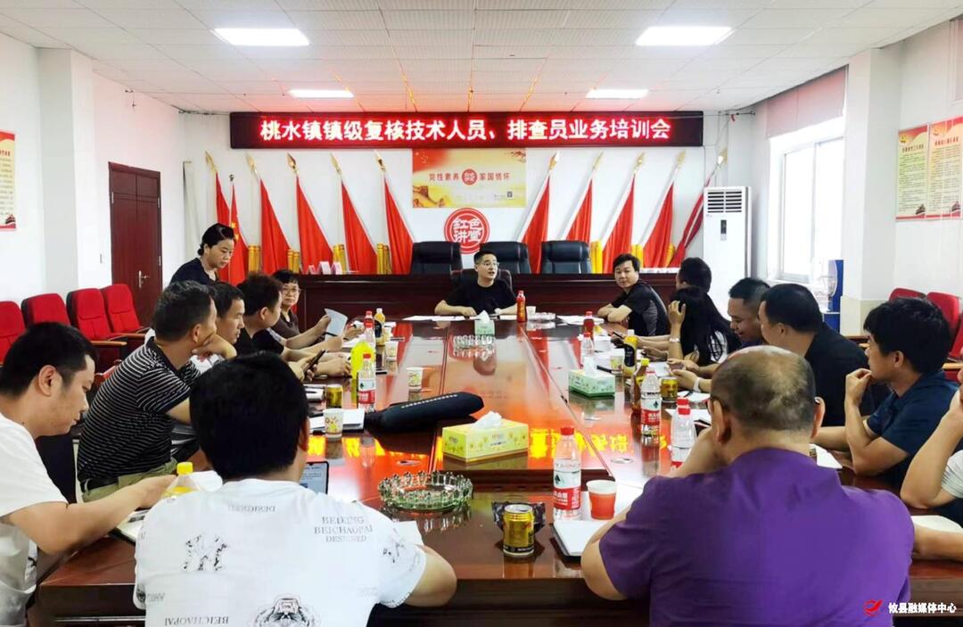 桃水镇：当好“安全卫士”，全力推进自建房复核工作