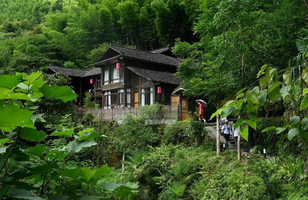 芙蓉国评论 | 民宿业，始于颜值终于服务——湖南民宿业发展观察(下)