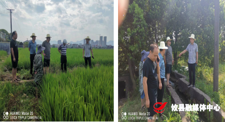 【联星街道】全力抗旱保秋收