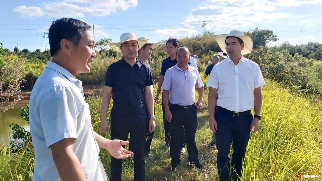 武挪强调研指导抗旱减灾工作 强调：坚决扛牢粮食安全责任 全力打好抗旱减灾这场硬仗