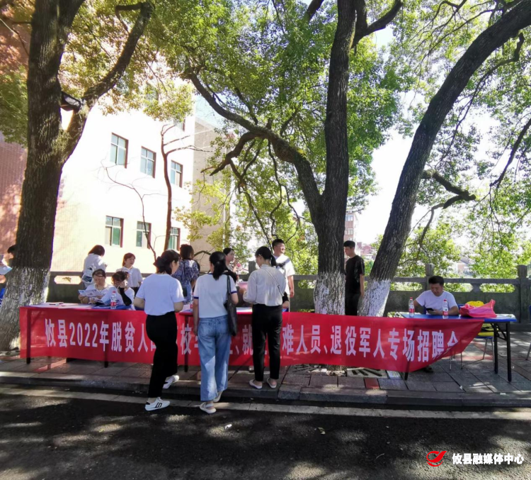 【党旗下的新时代文明实践】联星街道文化社区开展“送岗位进社区”招聘会