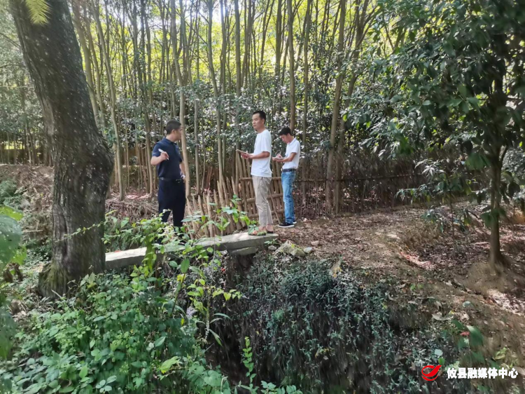 莲塘坳镇：坚持力量下沉 逐一核查复耕图斑
