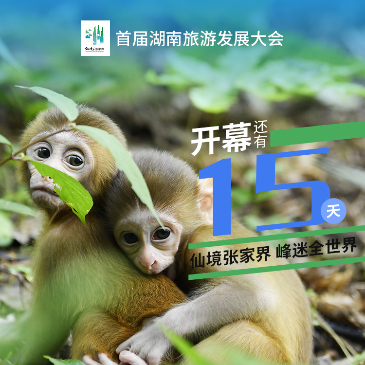 距离首届湖南旅游发展大会开幕式，倒计时15天