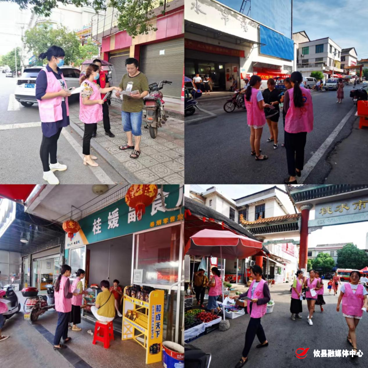 【桃水镇】争做巾帼安全卫士  共筑网络安全防线