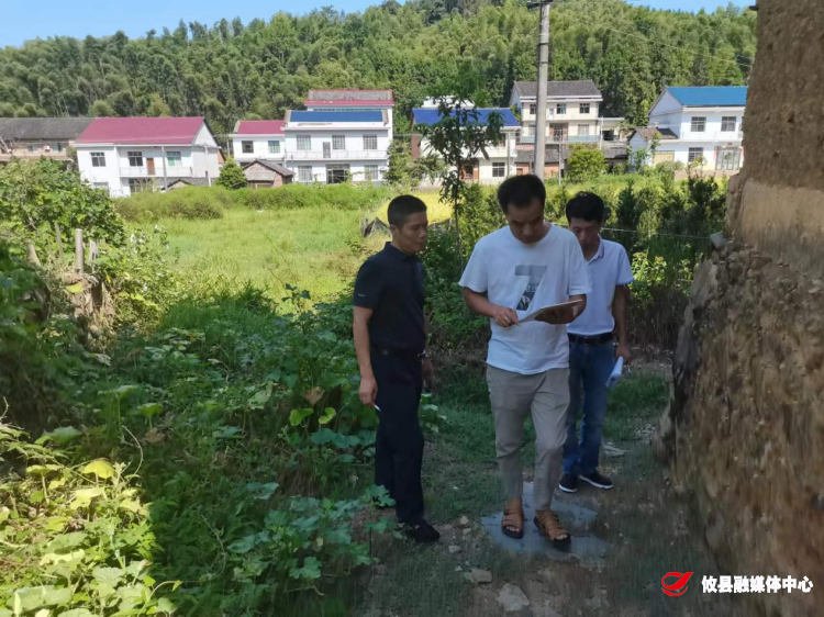 莲塘坳镇：恢复耕地在行动