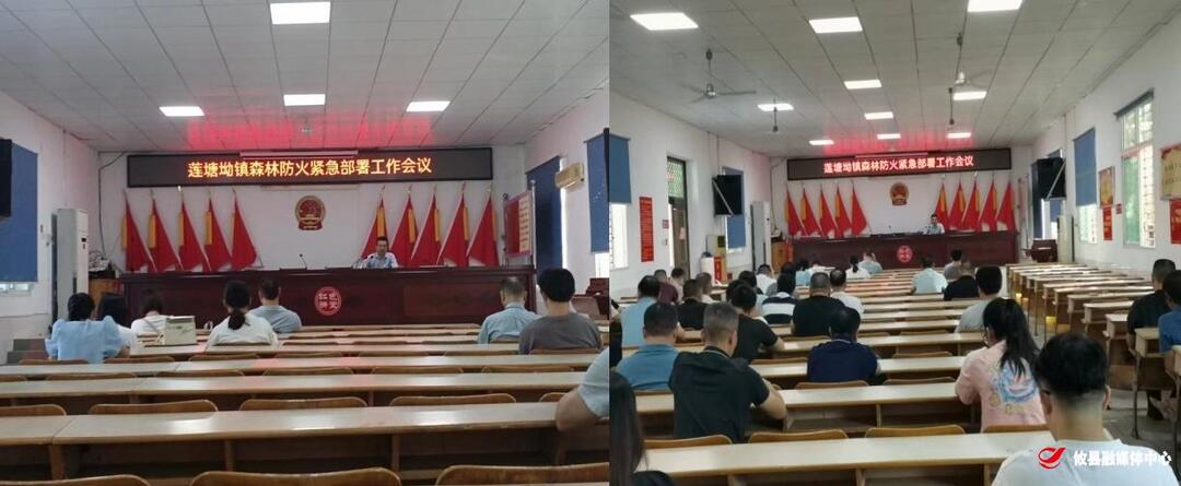 莲塘坳镇：防森林火灾 保绿色家园