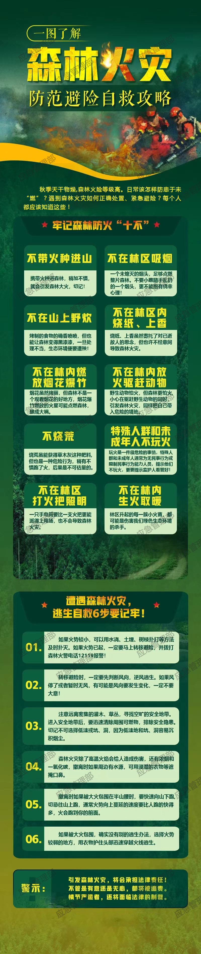 应急科普 | 一图了解森林火灾防范避险自救攻略