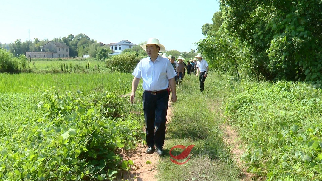 李鹏程在网岭镇调研指导抗旱工作 强调 ：落实“四保”要求 确保粮食安全