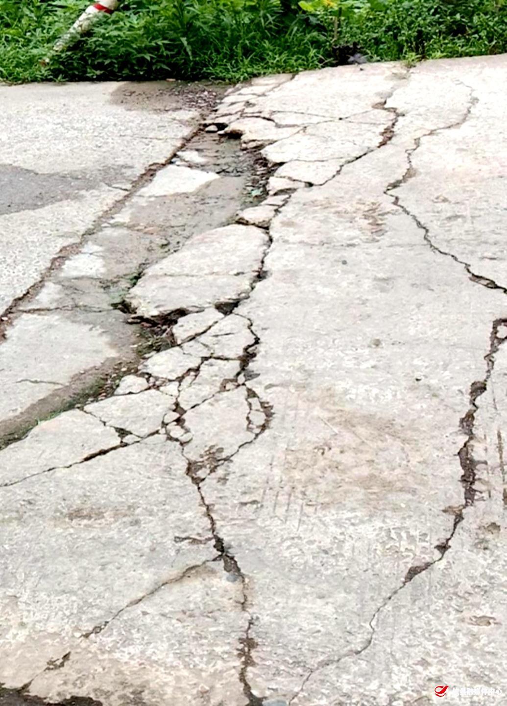 义务修路  造福百姓