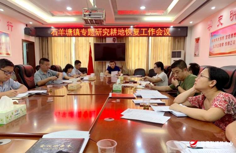 石羊塘镇召开恢复耕地工作专题会